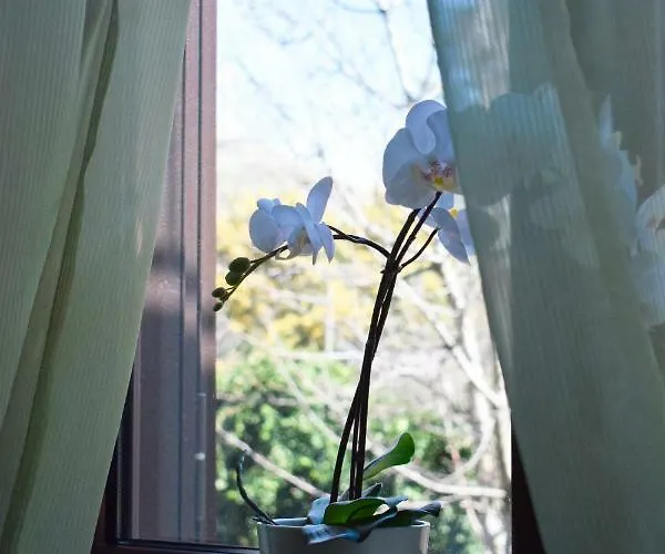 La Dimora Dei Ciliegi 게스트하우스 Forchia